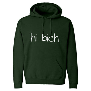 Hoodie Hi Bich Unisex Adult Hoodie